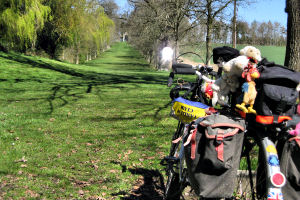 Tandem at Shobdon Church looking towards the Arches