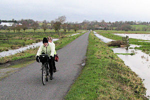 Somerset levels, south of Heath House